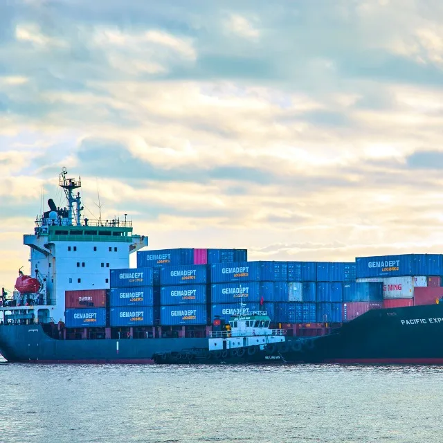 Sà lan tự hành có sức chở: 96 - 300 TEU